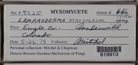 Image Associated With the Occurence